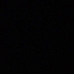 Meet your Posher, Laila